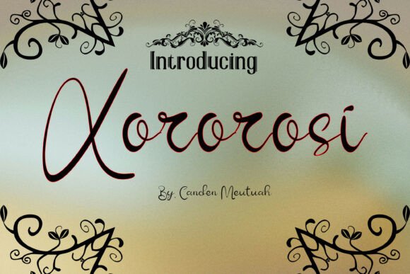 How Choosing the Xororosi Font Transformed My Brand’s Look