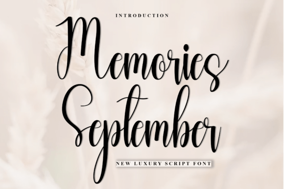 Memories September: A Warm Script Font for Digital Branding and Web Design